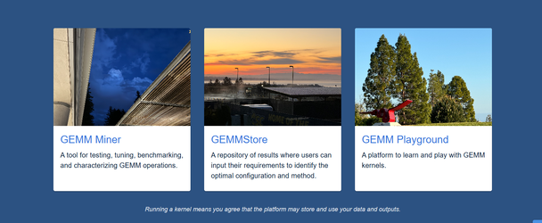 GEMMStore 